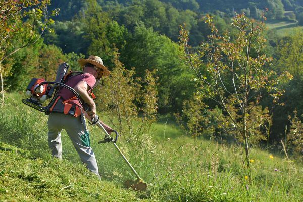 Cost of Slope Trimming in Lancaster
